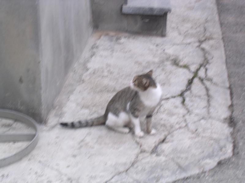 r_dscn0166.jpg