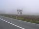 r_dscn0163.jpg