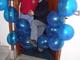 r_dscn0334.jpg